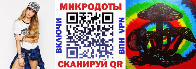 Галлюциногенные грибы Psilocybe  hydra как зайти  Холмск 